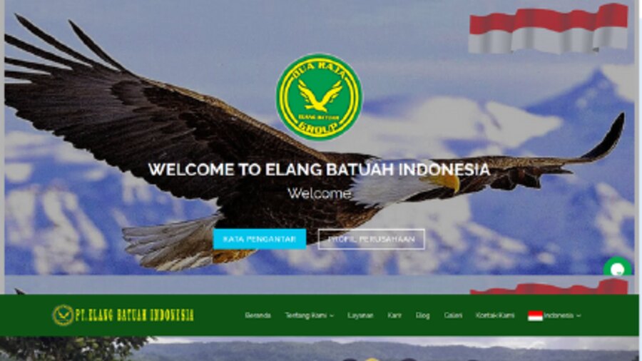 Website Company Profile PT Elang Batuah Indonesia